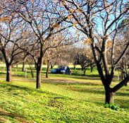 Wellington Caves Caravan Park - ACT Tourism