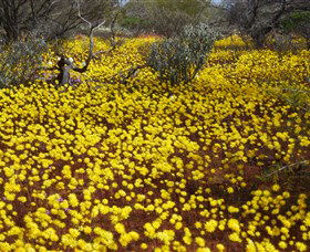 Yalgoo Caravan Park - ACT Tourism 3