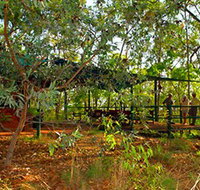 Arnhemland Barramundi Nature Lodge - ACT Tourism