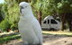 Glamping In The Grampians - Halls Gap Lakeside Tourist Park - thumb 2