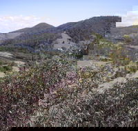 Blackbird Flat Camping Ground - ACT Tourism