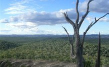 Goat Rock Camping Ground And Tourist Park - ACT Tourism 2
