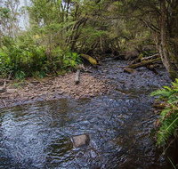 Horse Swamp campground - ACT Tourism
