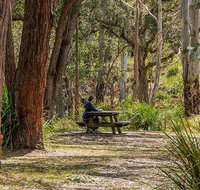 Koreelah Creek campground - ACT Tourism
