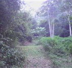 Macas Camping Ground - ACT Tourism