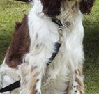 Merimbula Lake Holiday Park - ACT Tourism