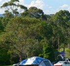 Milton Valley Holiday Park - ACT Tourism