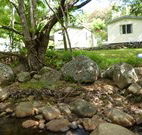 Mt Warning Rainforest Park - ACT Tourism