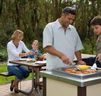 Port Stephens Treescape - ACT Tourism