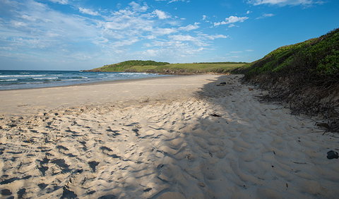 Racecourse Campground - ACT Tourism 2