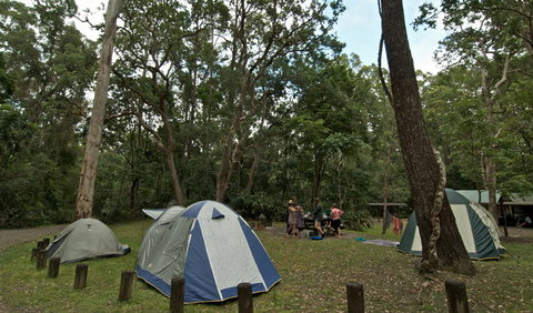 Sheepstation Creek Campground - ACT Tourism 2