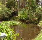 Tallowood Ridge B and B - ACT Tourism