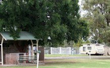 Warialda Caravan Park - ACT Tourism 0
