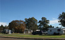 Warialda Caravan Park - ACT Tourism 2