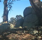 Warreen Farmstay Rural Accommodation - ACT Tourism