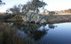 Warreen Farmstay Rural Accommodation - thumb 4