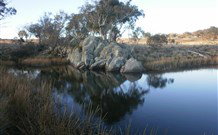 Warreen Farmstay Rural Accommodation - ACT Tourism 4