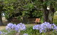 Warreen Farmstay Rural Accommodation - thumb 3