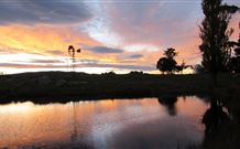 Warreen Farmstay Rural Accommodation - ACT Tourism 5