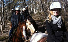 JE Resort (Jindabyne Equestrian Resort) - ACT Tourism 1