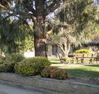 Hamilton Hume Motor Inn - Yass - ACT Tourism