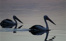 Lakeview Motor Inn - Belmont - ACT Tourism 0