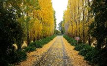 Melview Greens Apartments - Orange - ACT Tourism 5