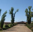 Newell Motor Inn - Narrandera - ACT Tourism