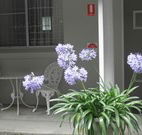 Pine Lodge Motel - Woolgoolga - ACT Tourism