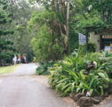 Tamborine Mountain Caravan  Camping - ACT Tourism
