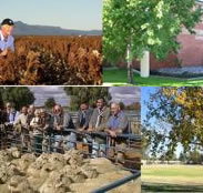 Southern Cross Motor Inn - ACT Tourism