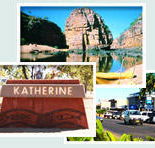 Red Gum Tourist Park - ACT Tourism