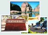 Red Gum Tourist Park - ACT Tourism 0