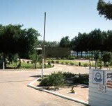 Shoreline Caravan Park - ACT Tourism