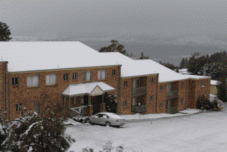 Acacia Snowy Motel - ACT Tourism 4