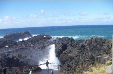 Kiama Ocean View Motor Inn - ACT Tourism 1