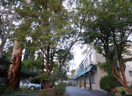 Adelaide Oakford Apartments - ACT Tourism 0