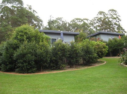 Mapleton Cabins And Caravan Park - ACT Tourism 3