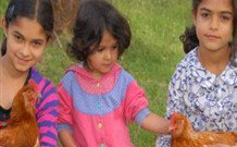 Barrington Tops Organic Retreat - ACT Tourism 2