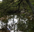 Hidden Valley Farm - ACT Tourism