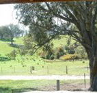 Hosanna Farm Retreat - ACT Tourism