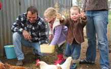 Linga Longa Farm Wingham - ACT Tourism 0