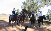 Linga Longa Farm Wingham - ACT Tourism 1