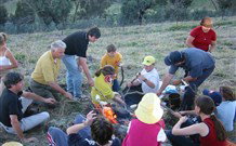 Linga Longa Farm Wingham - ACT Tourism 3