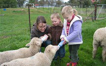 Linga Longa Farm Wingham - ACT Tourism 2