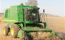 Linga Longa Farm Wingham - ACT Tourism 4