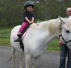 Mansfield Cottage Barrington Tops Accommodation - ACT Tourism