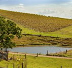 Sanctuary Hill Retreat - ACT Tourism