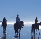 Whispering Brook - ACT Tourism