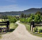 Pemberley Grange Hunter Valley Getaway - ACT Tourism